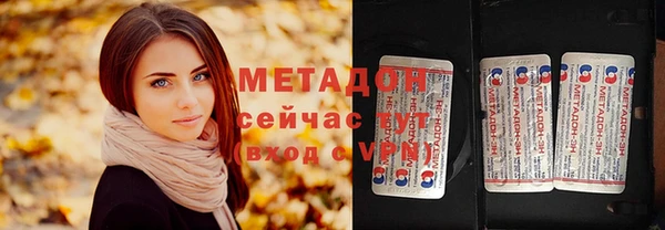 прущие грибы Магадан