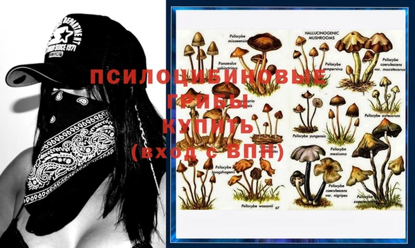 MESCALINE Магас