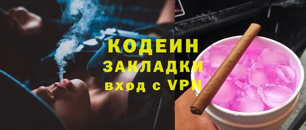 прущие грибы Магадан