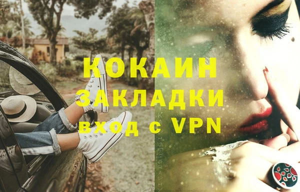 прущие грибы Магадан