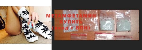 прущие грибы Магадан