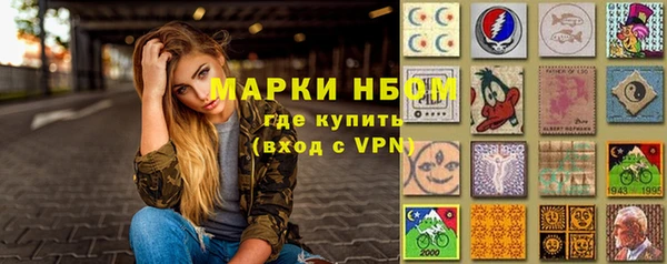 прущие грибы Магадан