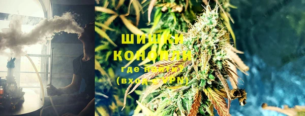прущие грибы Магадан