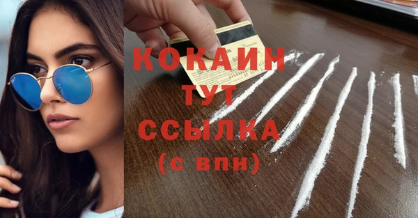 прущие грибы Магадан