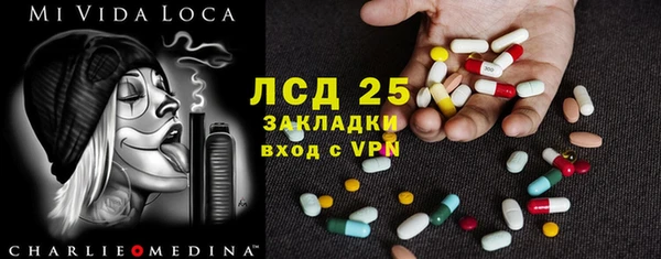 прущие грибы Магадан