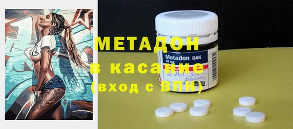 прущие грибы Магадан