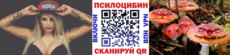 Псилоцибиновые грибы прущие грибы  Купить где  Шимановск 